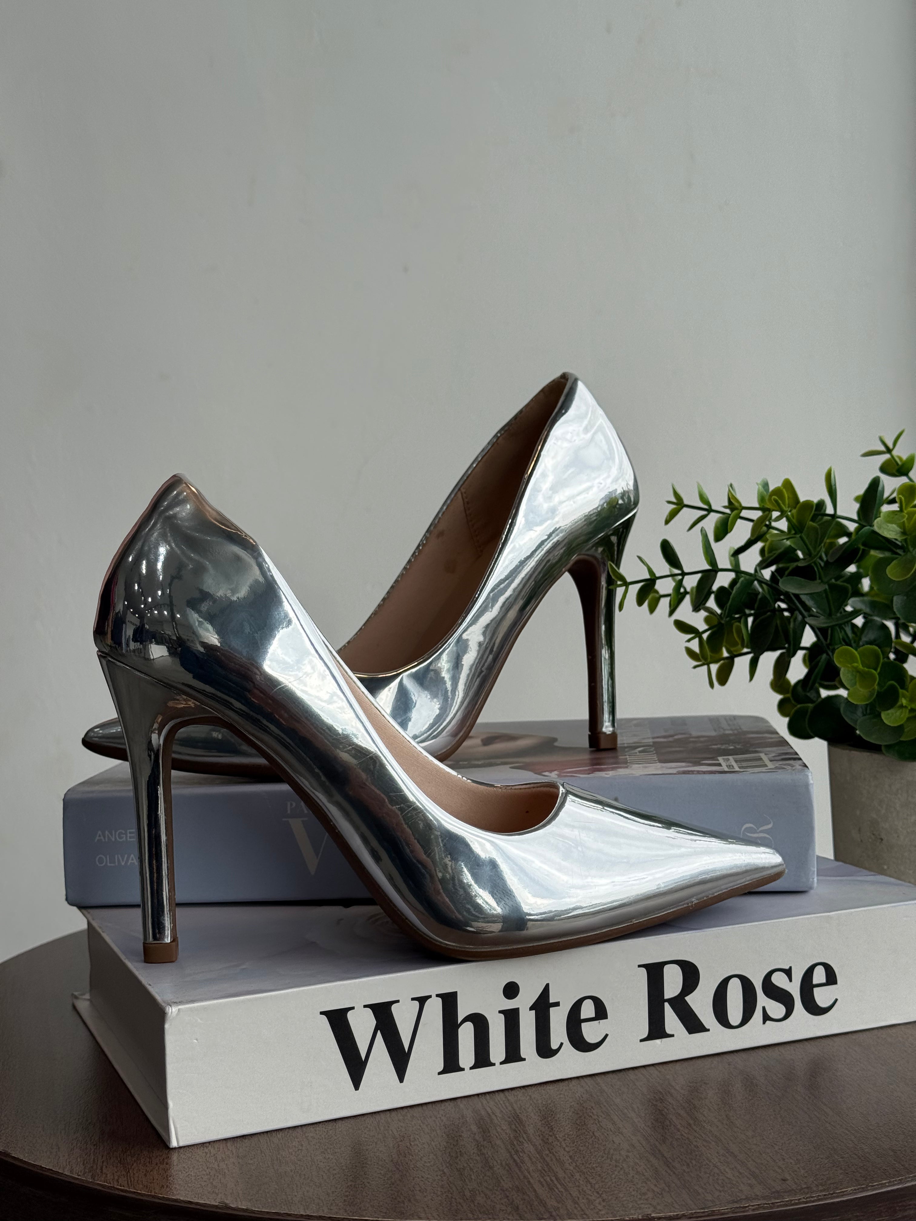Silver Stilettos